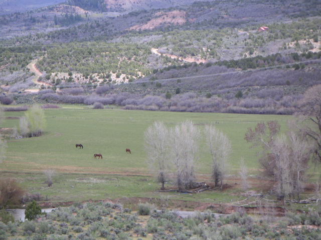 West of Duchesne